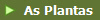 As Plantas
